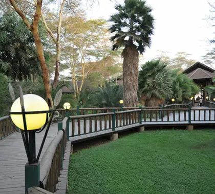 Ol Tukai is a warm and welcoming eco-rated lodge in Amboseli National Park.