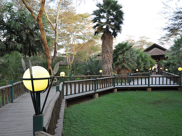 Ol Tukai is a warm and welcoming eco-rated lodge in Amboseli National Park.