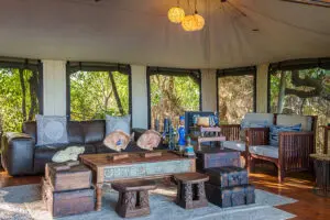 jao-reserve-accommodation-pelo-camp-main-areas-22