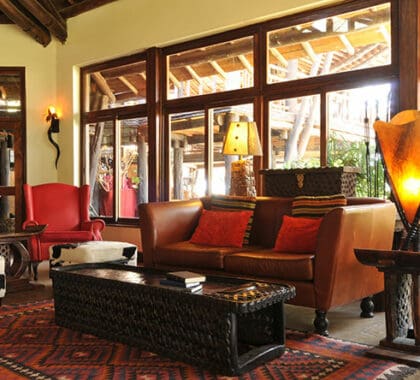 Take a break in the guest lounge and share some safari photos with your friends via Wi-fi.