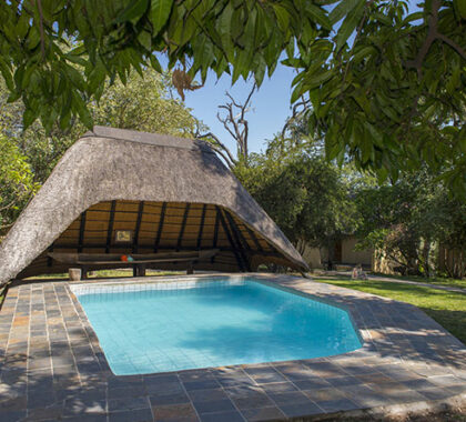 Cool off in the lodge's swimming pool or simply relax under a shady tree.