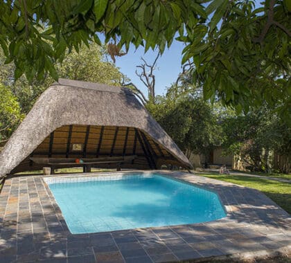 Cool off in the lodge's swimming pool or simply relax under a shady tree.