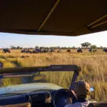 Emocionantes safaris | Namushasha River Lodge