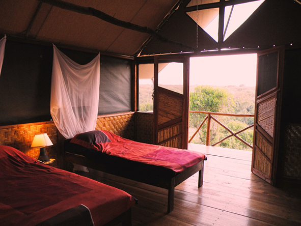 The ecologically built bandas (traditional huts), are all well-spaced apart among indigenous bush. 