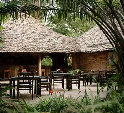 Dine indoors or alfresco at Rivertrees.