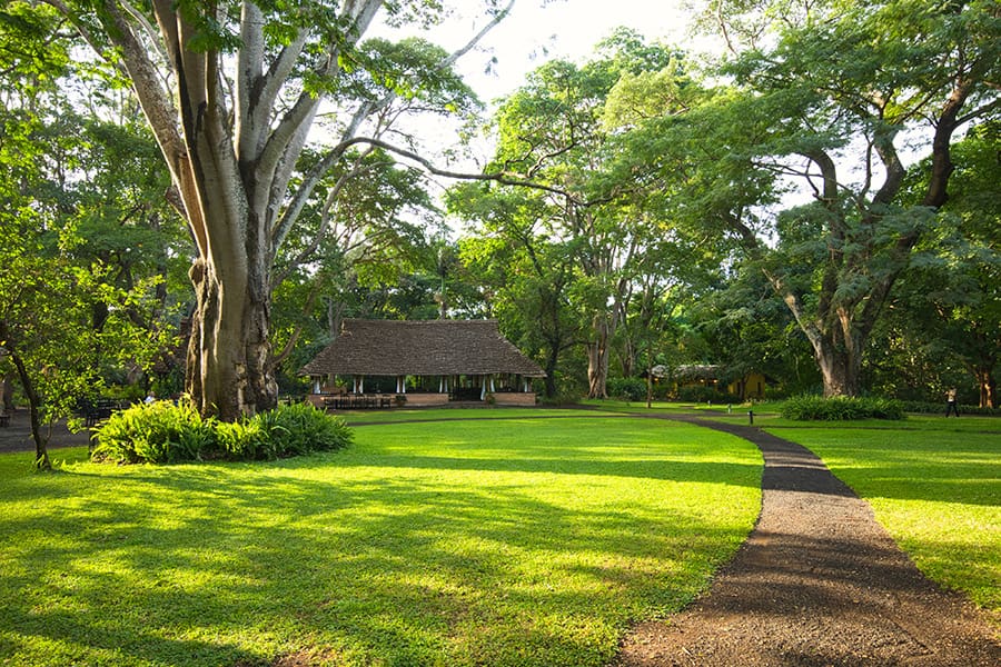Exuberantes jardines | Rivertrees Country Inn