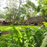 Los exuberantes jardines del Rivertrees Country Inn. 