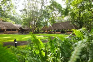 Los exuberantes jardines del Rivertrees Country Inn. 