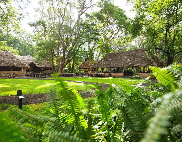 Rivertrees Country Inn's lush green grounds. 