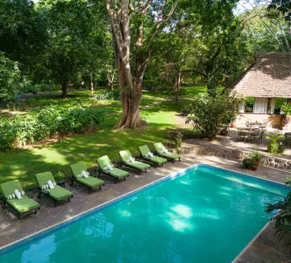 El lugar perfecto para relajarse | Rivertrees Country Inn