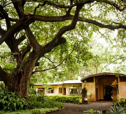 Rivertrees Country Inn - The Farmhouse.