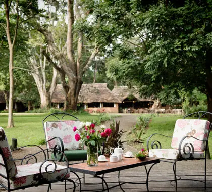Rivertrees Country Inn es una granja restaurada, una parada perfecta para reponer fuerzas tras el vuelo.