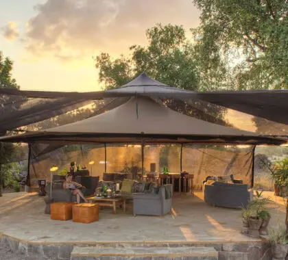 top-safari-marcas-04