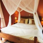 The spacious luxury cottages are secluded deep in the forest, providing guests with absolute privacy.