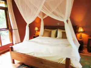 The spacious luxury cottages are secluded deep in the forest, providing guests with absolute privacy.