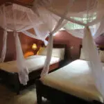 All suites are equipped with mosquito nets.