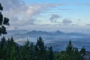 Enclavado en 20 acres de bosque mixto en las laderas de la meseta de Zomba.