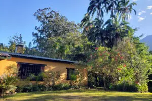 Rodeado de un exuberante jardín autóctono y árboles del bosque. 