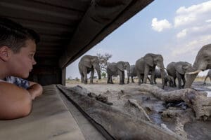 Get up close to prized wildlife. 