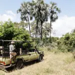 Game drive experiences.