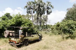 Game drive experiences.
