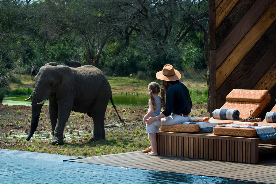 Phinda Homestead en KwaZulu-Natal, Sudáfrica | Go2Africa