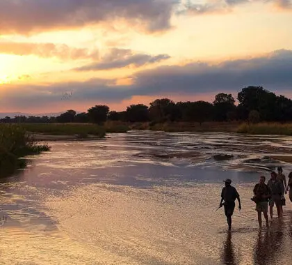 south-luangwa-header