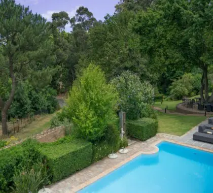 Disfrute del efecto nutritivo de estar rodeado de frondosos árboles en el jardín del lodge.