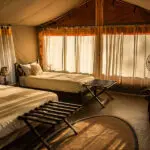 Interior de la tienda de invitados.