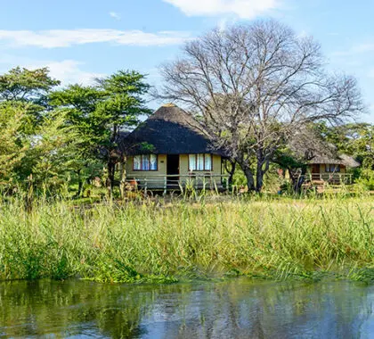 Hakusembe is set within lush, bird-rich gardens on the banks of the Okavango River.
