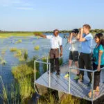 The Okavango is a haven for a magnitude of bird species.