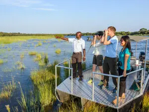 The Okavango is a haven for a magnitude of bird species.