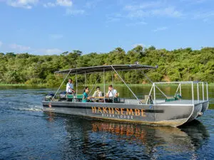 Experience the wonderful Okavango water world on a sunset boat cruise.