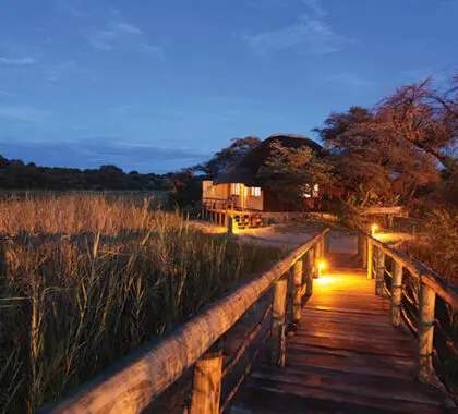 Wooden walkways are lit up at night, providing safe guidance back to your bungalow.
