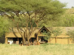 Cene y descanse en la tienda comedor de Lengai, o simplemente relájese a la sombra de las acacias.