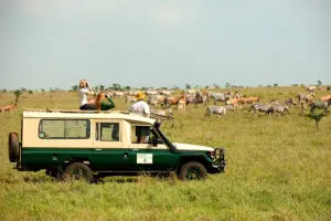 Game drives at Nairobi Tented Camp.