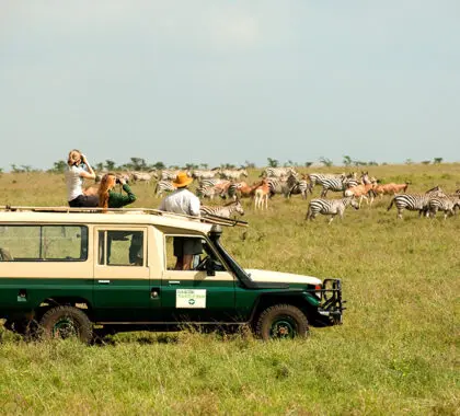 Safari en el Nairobi Tented Camp.