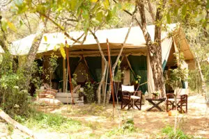 Nairobi Tented Camp.