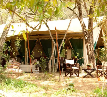 Campamento de tiendas de Nairobi.
