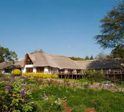 Granja Ngorongoro.