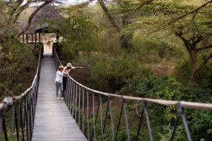 Swing bridge. 