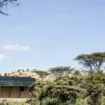 Campamento de guepardos Porini.