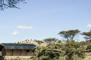 Campamento de guepardos Porini.