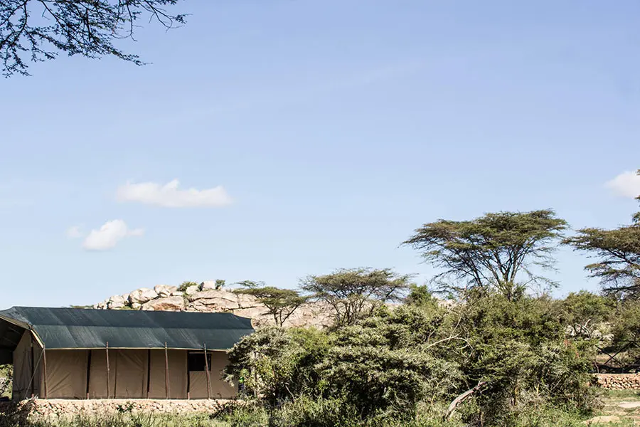 Porini Cheetah Camp.