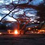 Porini Amboseli Camp.