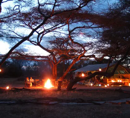 Campamento Porini Amboseli.