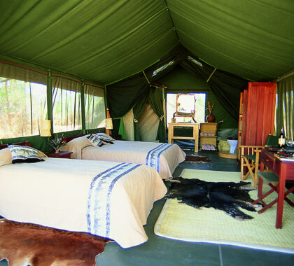 Twin bedroom at Porini Amboseli Camp.