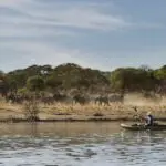 Safari en canoa.
