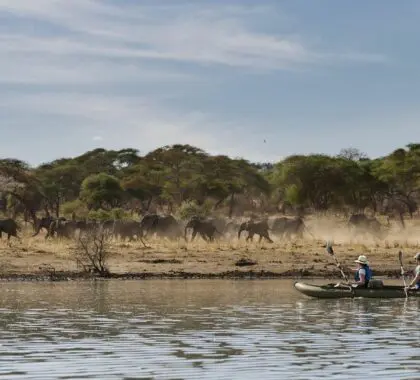 Sanctuary Swala Camp-canoe safari