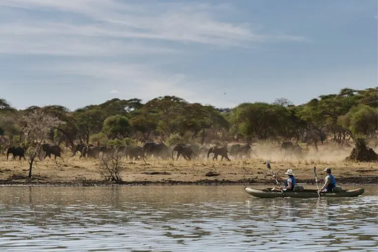 Canoe safari.